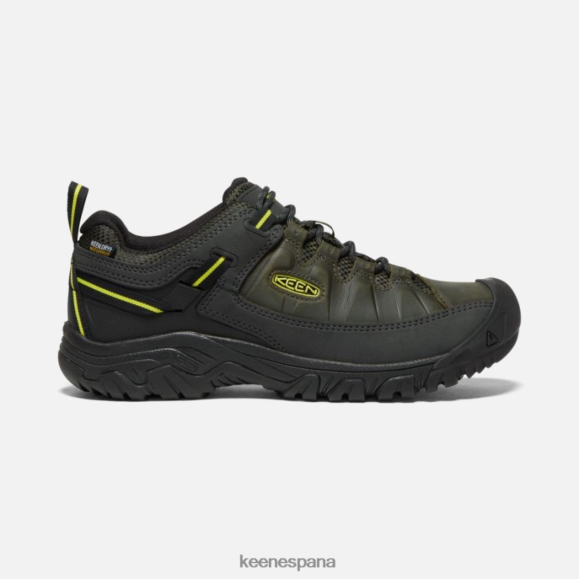 Keen zapatos de senderismo impermeables targhee iii BJ4P4X256 onagra del bosque