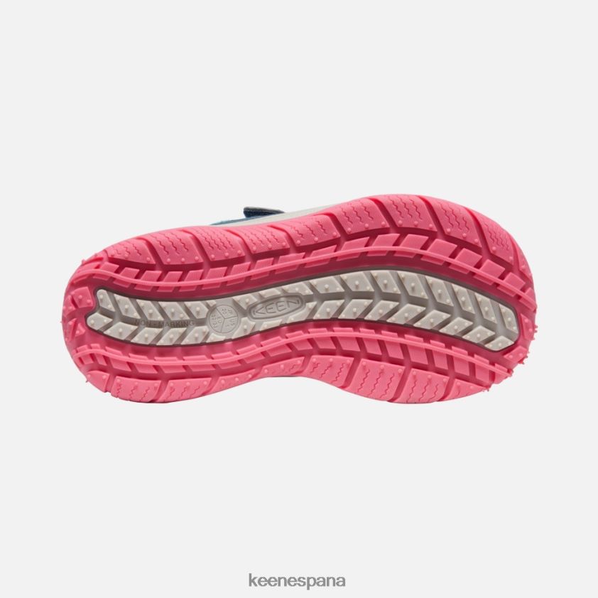 Keen gran 'perro veloz' BJ4P4X542 paloma de fruta de ala azul