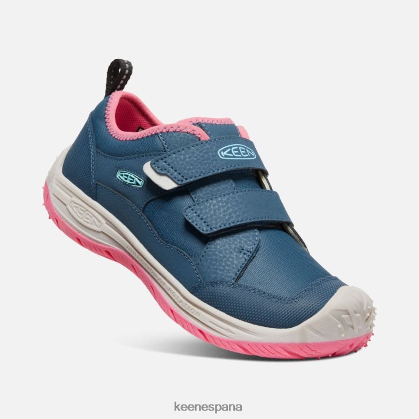 Keen gran 'perro veloz' BJ4P4X542 paloma de fruta de ala azul