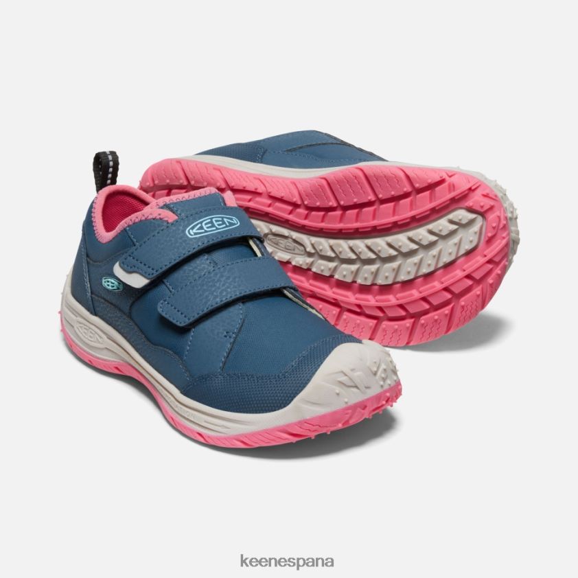 Keen gran 'perro veloz' BJ4P4X542 paloma de fruta de ala azul