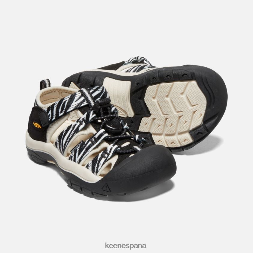 Keen pequeño 'newport h2 BJ4P4X570 cajeros automáticos estrella cebra