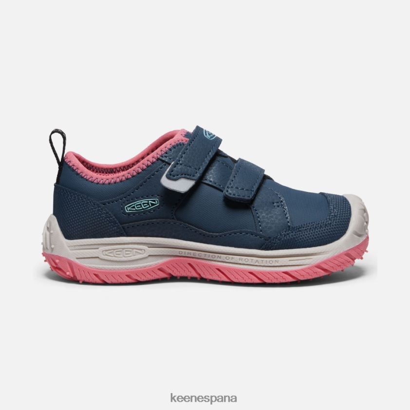 Keen pequeño 'perro veloz' BJ4P4X544 paloma de fruta de ala azul