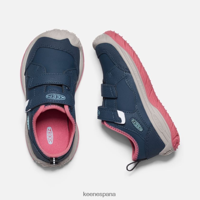 Keen pequeño 'perro veloz' BJ4P4X544 paloma de fruta de ala azul