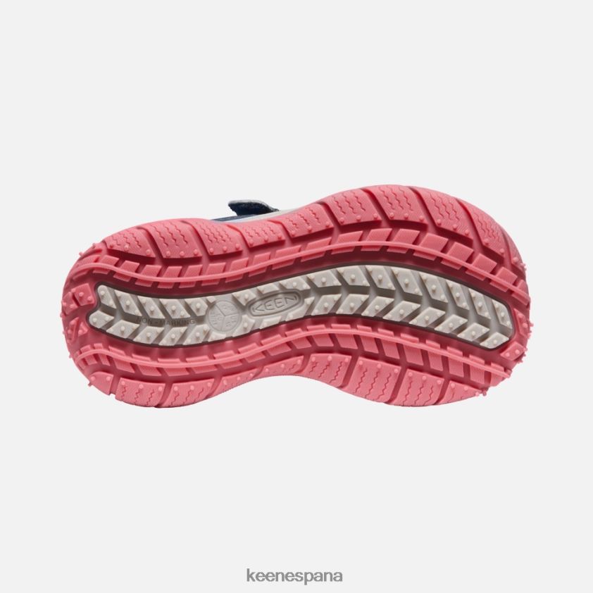 Keen pequeño 'perro veloz' BJ4P4X544 paloma de fruta de ala azul