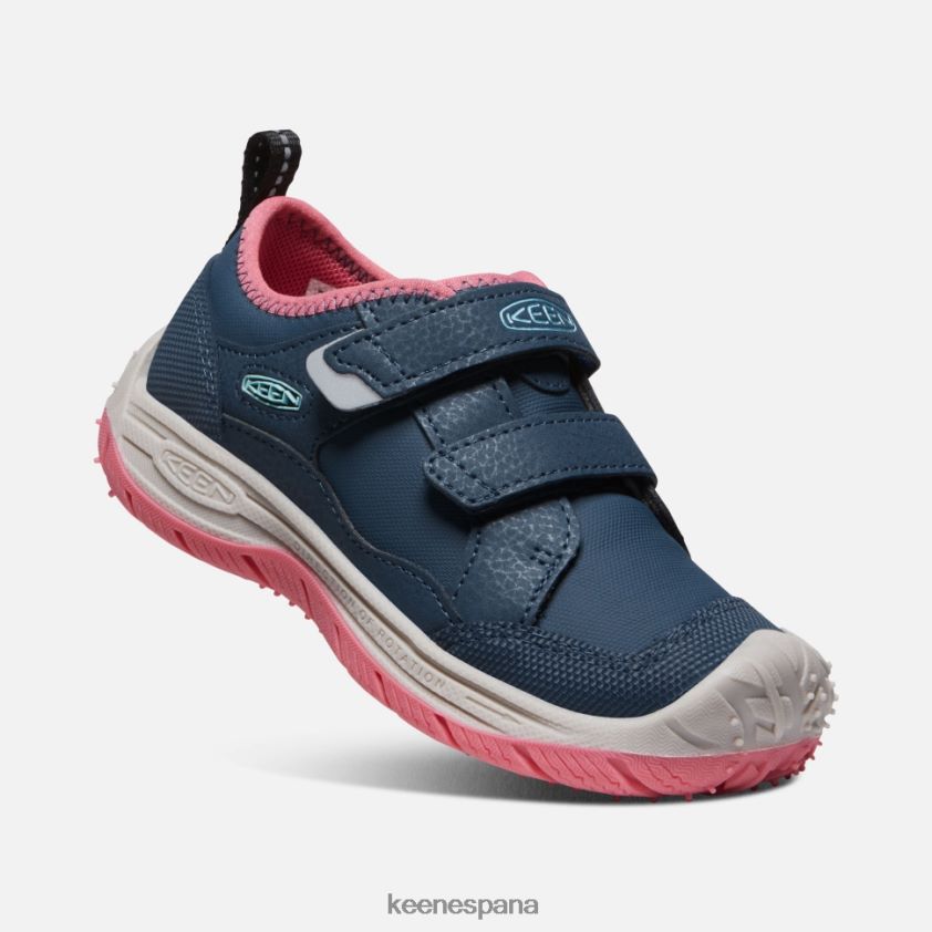 Keen pequeño 'perro veloz' BJ4P4X544 paloma de fruta de ala azul