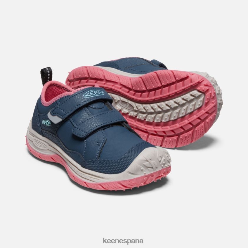 Keen pequeño 'perro veloz' BJ4P4X544 paloma de fruta de ala azul