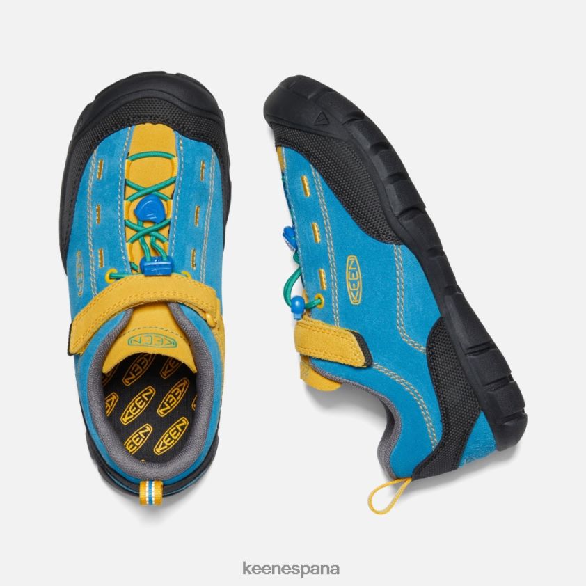 Keen mayor 'jasper ii BJ4P4X27 vara azul-dorada brillante